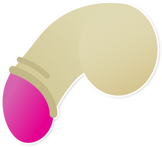 ilustration of penis
